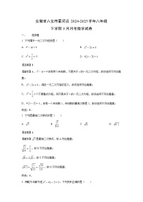 安徽省六安市霍邱县2024-2025学年八年级下学期3月月考数学试卷（解析版）