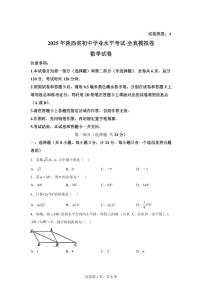 陕西省2025届初中学业水平考试全真模拟数学试卷（含解析）
