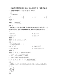 河南省洛阳市瀍河区2025年九年级中考一模数学试卷（解析版）