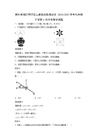 贵州省铜仁市印江土家族苗族自治县2024-2025学年九年级下学期3月月考数学试卷（解析版）