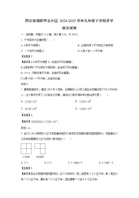 四川省绵阳市安州区2024-2025学年九年级下学期开学 数学试卷（解析版）
