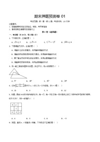 期末押题预测卷01（考试范围第7-12章）-2024-2025学年七年级数学下册期中+期末分类复习满分冲刺（含解析版）（人教版2024）