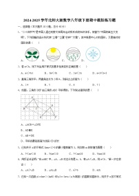 2024-2025学年北师大版数学八年级下册期中模拟练习题（附答案）