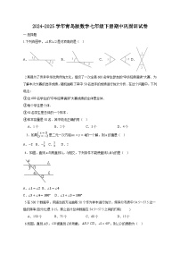 2024-2025学年青岛版数学七年级下册期中巩固训试卷（附答案）