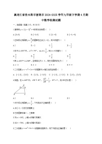 黑龙江省佳木斯市富锦市2024-2025学年九年级下学期4月期中数学检测试题（附答案）
