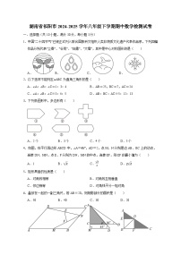 湖南省祁阳市2024-2025学年八年级下学期期中数学检测试卷（附答案）