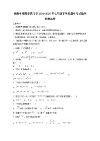 湖南省邵阳市武冈市2024-2025年七年级下学期期中考试数学检测试卷（附答案）
