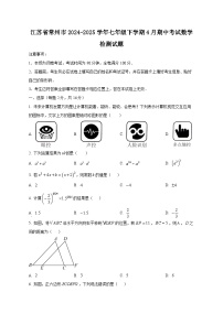 江苏省常州市2024-2025学年七年级下学期4月期中考试数学检测试题（附答案）