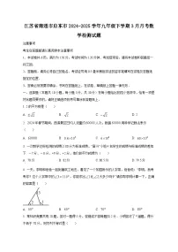 江苏省南通市启东市2024-2025学年九年级下学期3月月考数学检测试题（附答案）