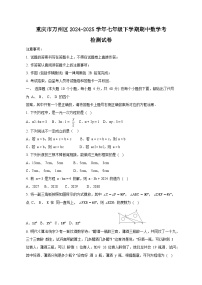 重庆市万州区2024-2025学年七年级下学期期中数学考检测试卷+（附答案）