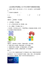 山东省泰安市高新区2025年九年级中考模拟数学试题（解析版）