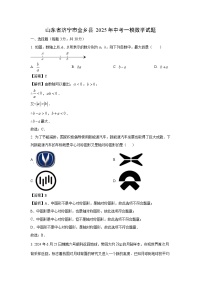山东省济宁市金乡县2025年中考一模数学试题（解析版）