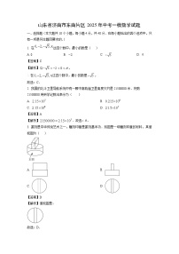 山东省济南市东南片区2025年中考一模数学试题（解析版）