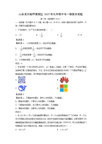 山东省济南市槐荫区2025年九年级中考一模数学试题（解析版）