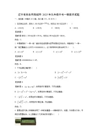 辽宁省丹东市凤城市2025年九年级中考一模数学试题（解析版）