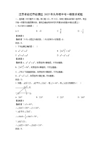 江苏省宿迁市宿豫区2025年九年级中考一模数学试题（解析版）