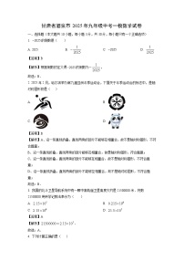甘肃省酒泉市2025年九年级中考一模数学试卷（解析版）