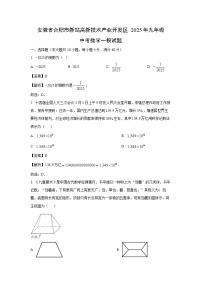 安徽省合肥市新站高新技术产业开发区2025年九年级中考一模数学试题（解析版）