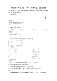 安徽省滁州市全椒县2025年九年级中考一模数学试卷（解析版）