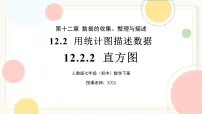 初中数学人教版（2024）七年级下册（2024）直方图获奖课件ppt