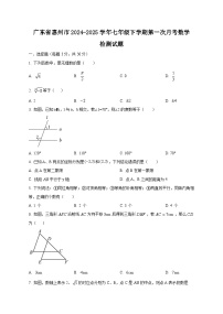 广东省惠州市2024-2025学年七年级下学期第一次月考数学检测试题（含答案）