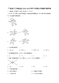 广东省江门市新会区2024-2025学年下学期七年级期中数学卷（含答案）