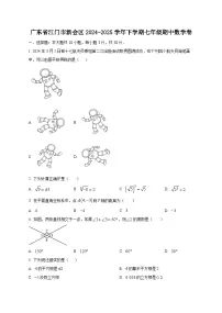 广东省江门市新会区2024-2025学年下学期七年级期中数学卷（含答案）