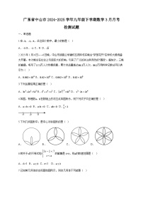 广东省中山市2024-2025学年九年级下学期数学3月月考检测试题（含答案）