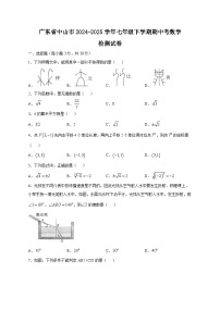 广东省中山市2024-2025学年七年级下学期期中考数学检测试卷（含答案）