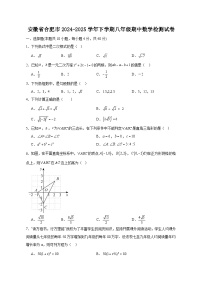 安徽省合肥市2024-2025学年下学期八年级期中数学检测试卷（含答案）