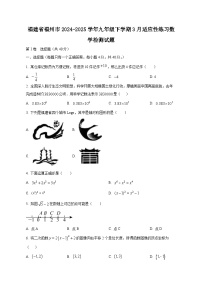 福建省福州市2024-2025学年九年级下学期3月适应性练习数学检测试题（含答案）