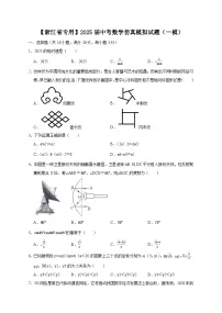 【浙江省专用】2025届中考数学仿真模拟试题（一模）（含答案）