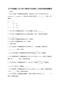 【中考真题】2025届中考数学专项训练5开放性检测试题题型（含答案）