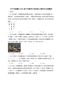 【中考真题】2025届中考数学专项训练8数学文化类题型（含答案）