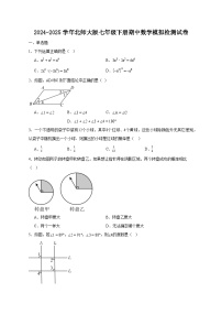 2024-2025学年北师大版七年级下册期中数学模拟检测试卷（含答案）