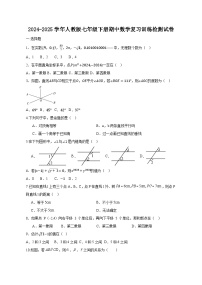 2024-2025学年人教版七年级下册期中数学复习训练检测试卷（含答案）