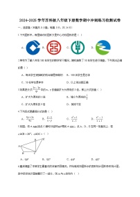 2024-2025学年苏科版八年级下册数学期中冲刺练习检测试卷（含答案）