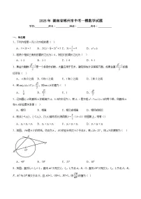 湖南省郴州市2025届九年级下学期中考一模数学试卷(含解析)