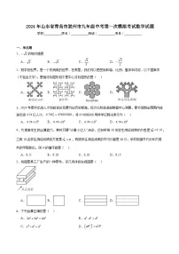 山东省青岛市胶州市2024届九年级下学期中考一模数学试卷(含解析)