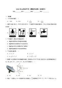 山西省2024届九年级下学期中考二模数学试卷(含解析)