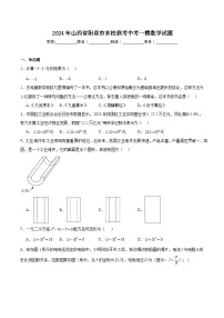 山西省阳泉市多校联考2024届九年级下学期中考一模数学试卷(含解析)