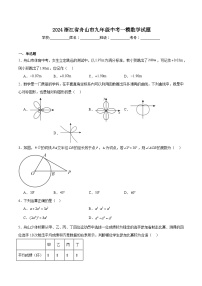 浙江省舟山市2024届九年级下学期中考一模数学试卷(含解析)