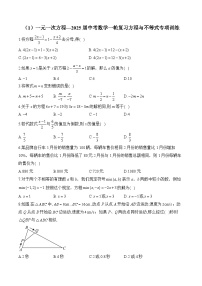 2025届中考数学一轮复习方程与不等式专项训练1 一元一次方程(含答案)
