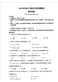 2025年上海市嘉定区中考二模数学试题(pdf版含详解)