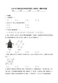 甘肃省定西市安定区城区三校联考2025届九年级下学期中考一模数学试卷(含解析)