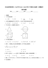 邯郸市第二十五中学2025届九年级下学期中考第一次模拟考试数学试卷(含解析)