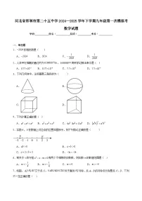 邯郸市第二十五中学2025届九年级下学期中考第一次模拟考试数学试卷(含解析)