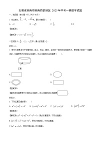 安徽省淮南市淮南西部地区2025年中考一模数学试卷（解析版）