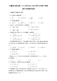 安徽省合肥市第三十八中学2024-2025学年七年级下学期期中考试 数学试卷（含解析）