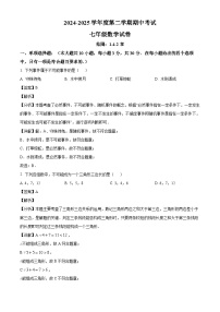 广东省茂名高州市2024-2025学年下学期期中考试七年级 数学试题（含解析）